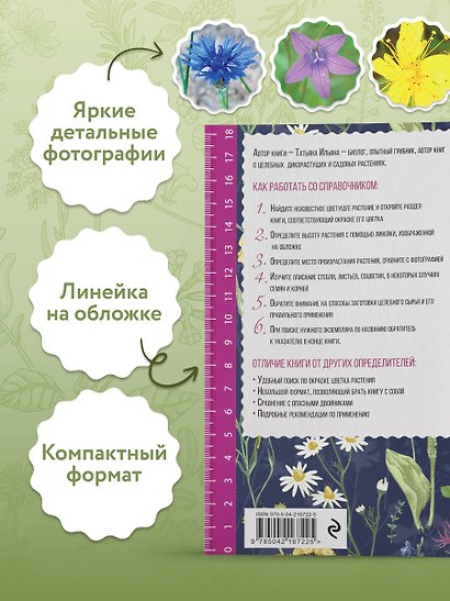 Лечебные травы. Иллюстрированный справочник-определитель - фото 7