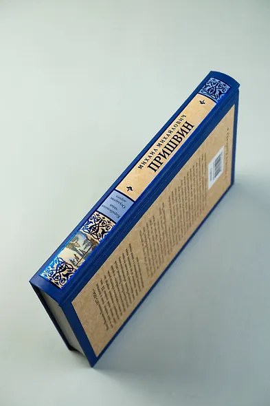 Корабельная чаща. Осударева дорога - фото 7