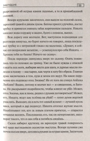 СПР Заблудшие - фото 5