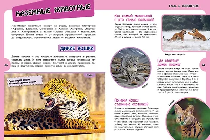 Большая энциклопедия для любознательных девчонок - фото 7