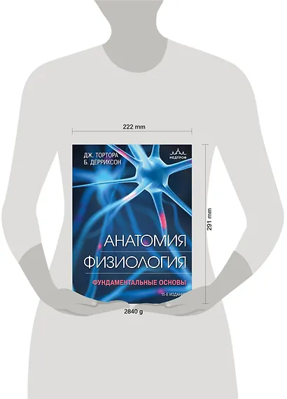 Анатомия. Физиология. Фундаментальные основы. 15-е издание - фото 4
