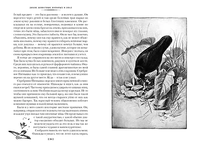 Рассказы о животных - фото 8