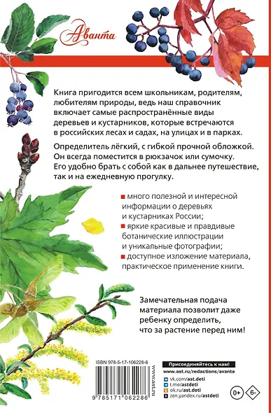 Деревья и кустарники России. Определитель - фото 2