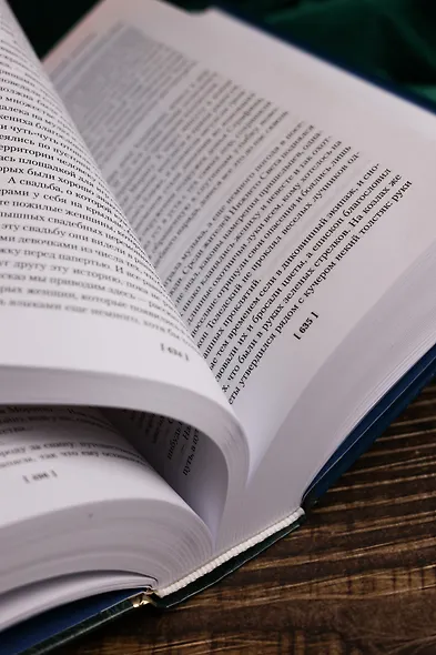 Человек, который съел феникса. Хроники Тенистой Долины - фото 13