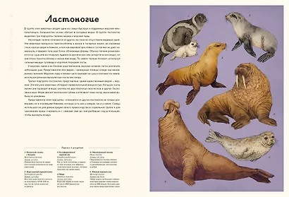 Океанариум - фото 14