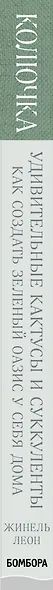 Колючка: как создать зеленый оазис у себя дома. Удивительные кактусы и суккуленты - фото 4