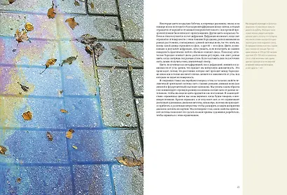 Искусство и восприятие. Биология зрения - фото 4