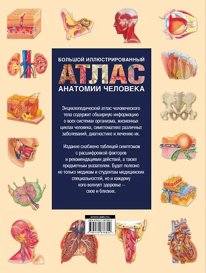 Энциклопедический атлас человеческого тела (ISBN 5-17-038347-9 в суперобложке "Большой иллюстрированный атлас анатомии человека") - фото 2
