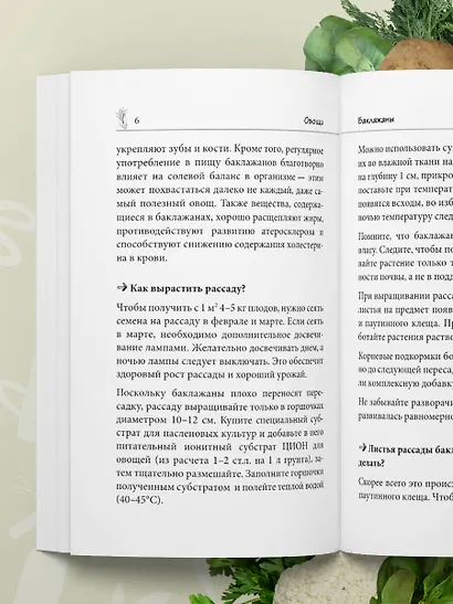 Дачные секреты Октябрины Ганичкиной. Самые полезные советы для садоводов и огородников - фото 8