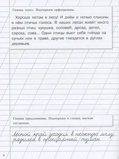 Прописи на каникулы с заданиями по орфографии. 3 класс - фото 5
