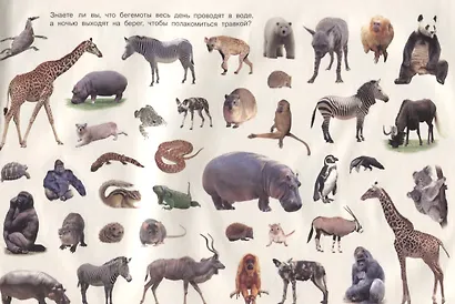 Дикие животные - фото 4