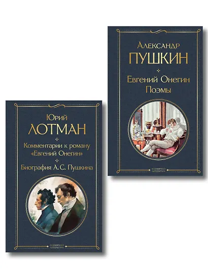 Расшифрованный Евгений Онегин (набор из 2 книг: Евгений Онегин, Комментарии к роману «Евгений Онегин». Биография А. С. Пушкина) - фото 1