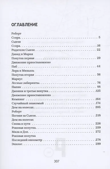 Попутчица : роман - фото 3