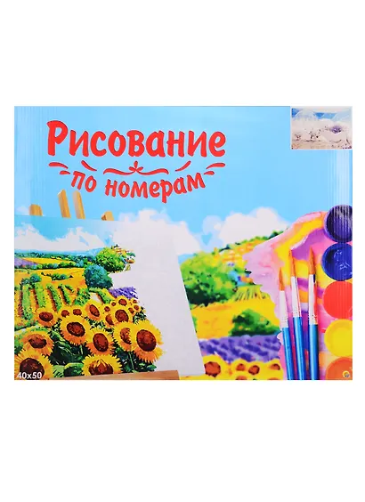 Набор для раскрашивания по номерам ТМ Рыжий Кот Холст 40х50см Волшебный мир Х-3568 - фото 1