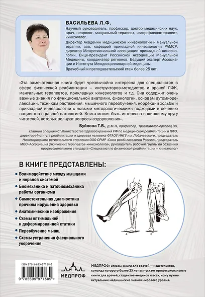 Прикладная кинезиология. Восстановление тонуса и функций скелетных мышц - фото 2