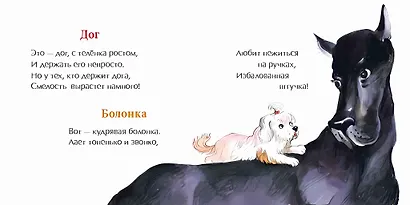 День рождения собаки - фото 5