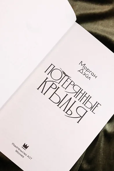 Потерянные крылья - фото 12