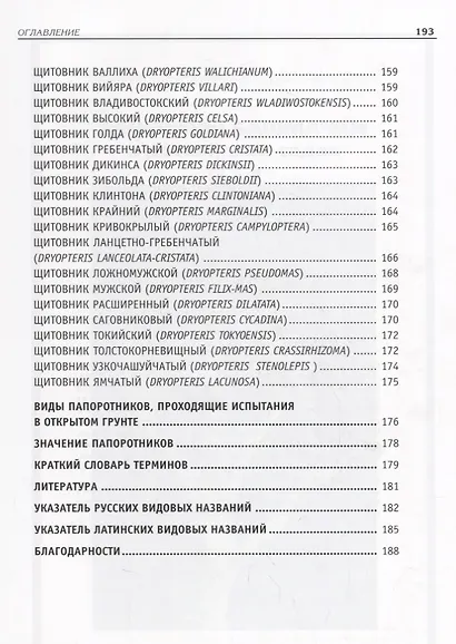 Садовые папоротники - фото 5