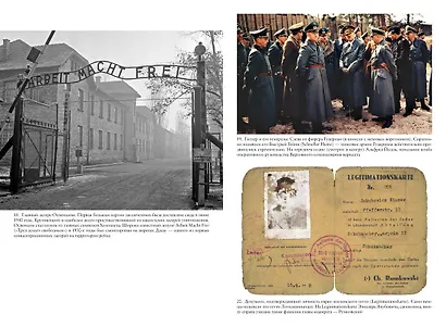 Холокост. Новая история - фото 7