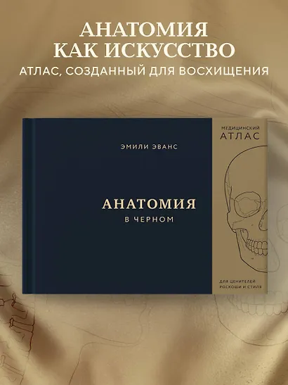 Анатомия в черном. Медицинский атлас для любителей роскоши и стиля - фото 4