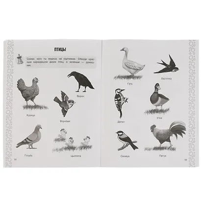 Рабочая тетрадь для детского сада. Окружающий мир. Средняя группа. 4+ - фото 4