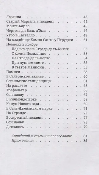 Виньетки. Миниатюрный дневник причуд и сантиментов - фото 3