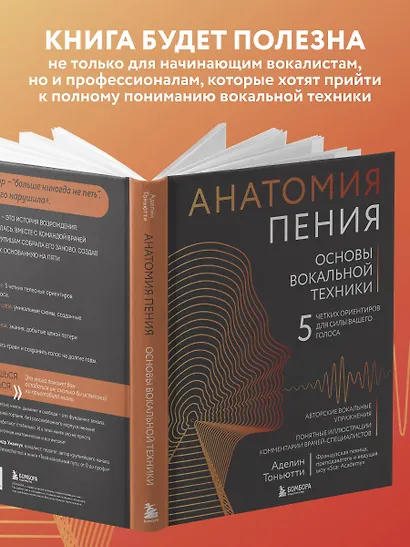 Анатомия пения: основы вокальной техники - фото 7