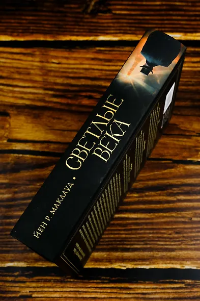 Светлые века - фото 7