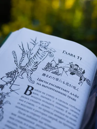 Канашибари. Пока не погаснет последний фонарь. Том 3 - фото 10