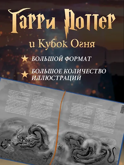 Гарри Поттер и Кубок Огня - фото 5