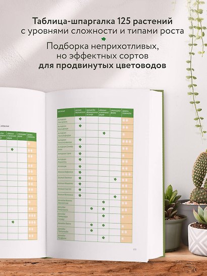 Эстетика живого интерьера. Как создать стильное пространство с помощью комнатных растений - фото 7