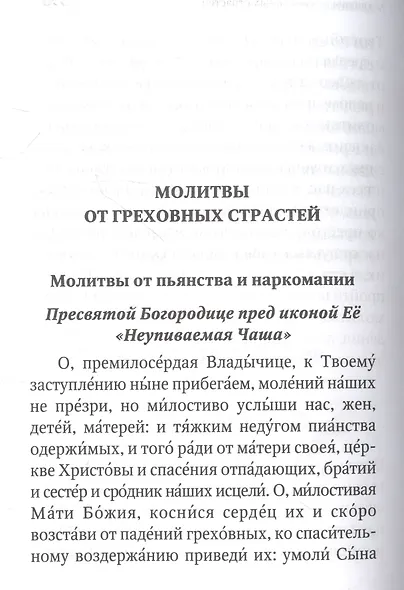 Молитвенная защита православного христианина. Молитвы на всякую потребу ко Господу Иисусу Христу, Его Пречистой Матери... - фото 11