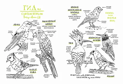 Мой удивительный мир природы. Книга для рисования, творчества и мечты - фото 6