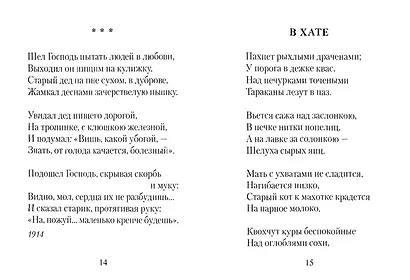 Всю душу выплещу в слова… - фото 2