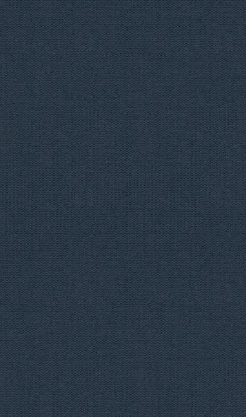 И дольше века длится день... - фото 2