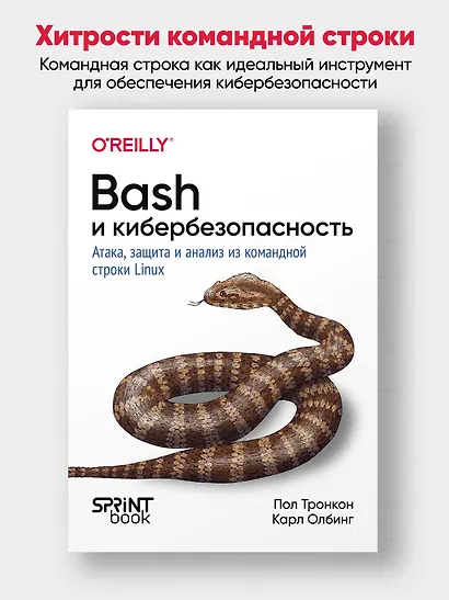 Bash и кибербезопасность: атака, защита и анализ из командной строки Linux - фото 3