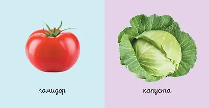 Комплект из 6 супер-прочных мини-книжек «Первые слова для самых маленьких» - фото 5