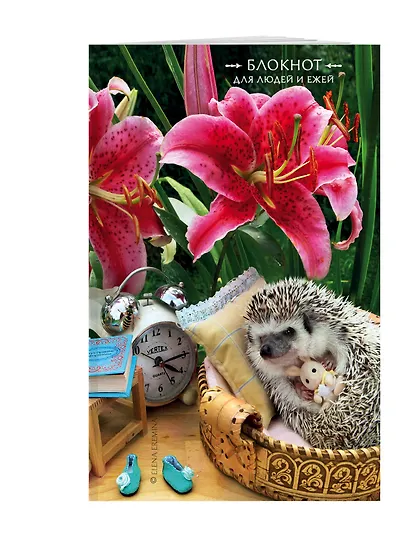 Блокнот для людей и ежей (лилии). 115х180мм, мягкая обложка, 64стр. - фото 2
