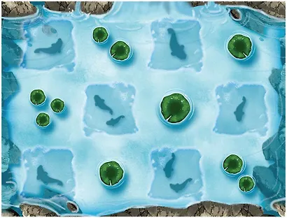 Настольная игра: Кохаку - фото 7