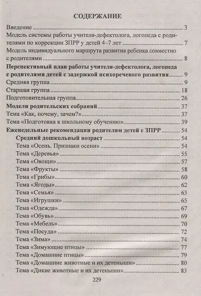 Преодоление задержки психоречевого развития у детей 4-7 лет. Система работы с родителями, мастер-классы, планирование индивидуального маршрута ребёнка - фото 2