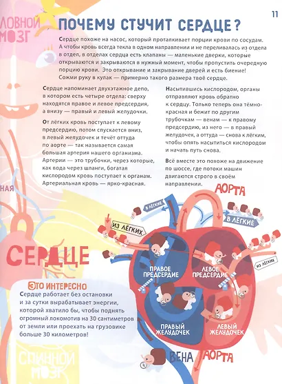 Человек - фото 5