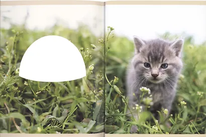 Тетрадь в клетку Listoff, "Чаепитие с милашками", 48 листов, в ассортименте - фото 8