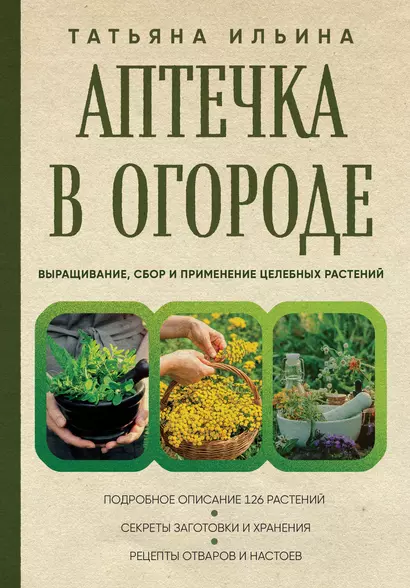 Аптечка в огороде. Выращивание, сбор и применение целебных растений - фото 1