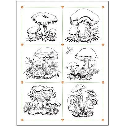 Что лежит в лукошке.. Для занятий с детьми от 3 до 4 лет - фото 3