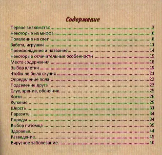 Морские свинки : правила ухода - фото 2