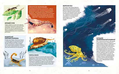 Удивительные животные. Самые-самые - фото 9