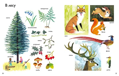 Моя первая энциклопедия в картинках - фото 5