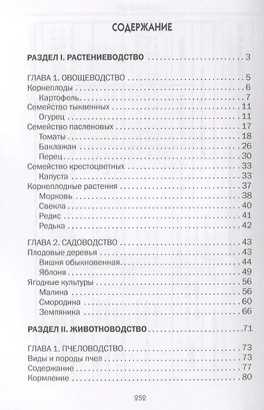 Домик в деревне - фото 2