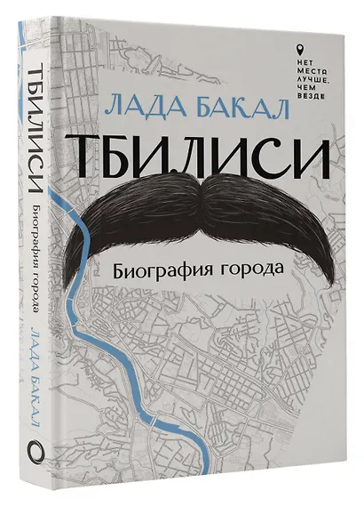 Тбилиси. Биография города - фото 3
