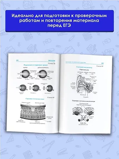 ЕГЭ. Биология. Весь школьный курс в таблицах и схемах для подготовки к единому государственному экзамену - фото 4